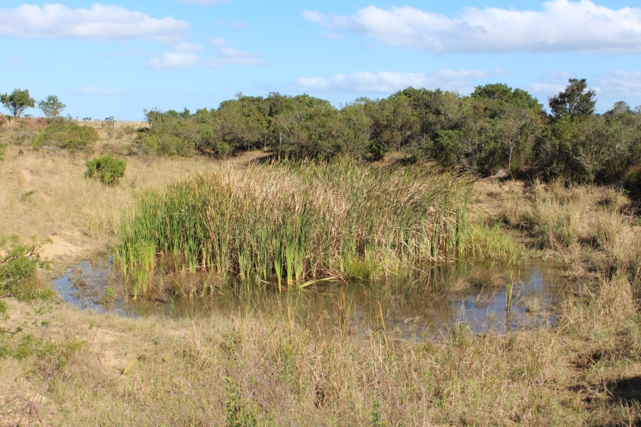 3 Bedroom Property for Sale in Bathurst Eastern Cape
